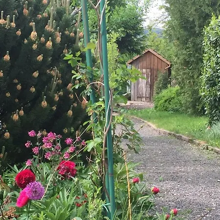 Appartement l'âROMEantic à Rothau Extérieur photo